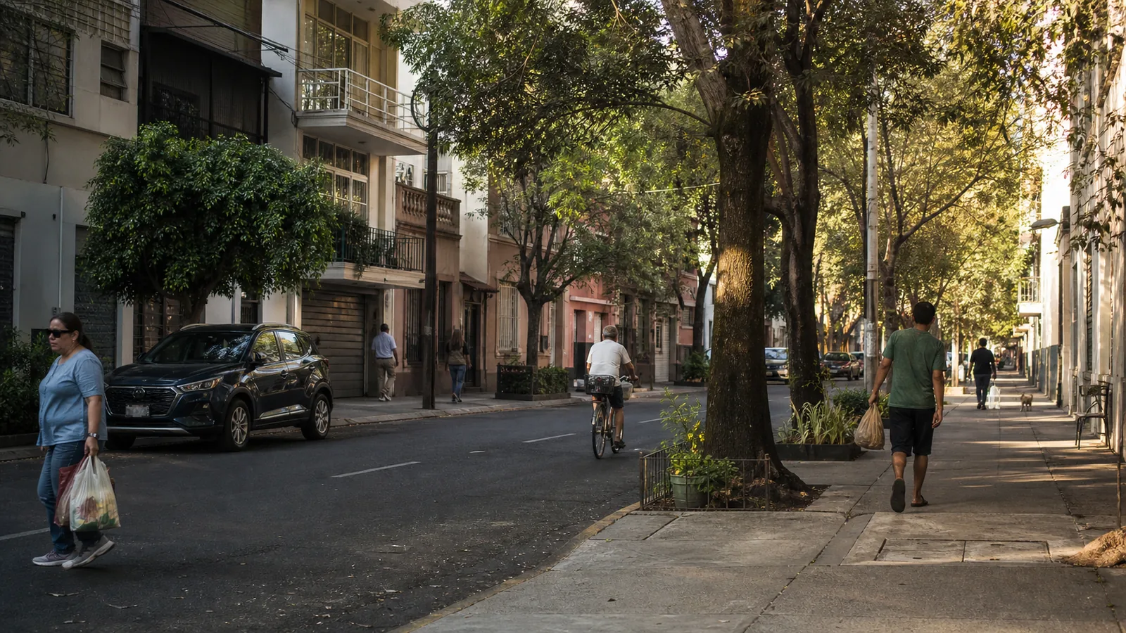A quieter residential CDMX street that shows why some monthly guests should consider neighborhoods beyond Roma Norte.