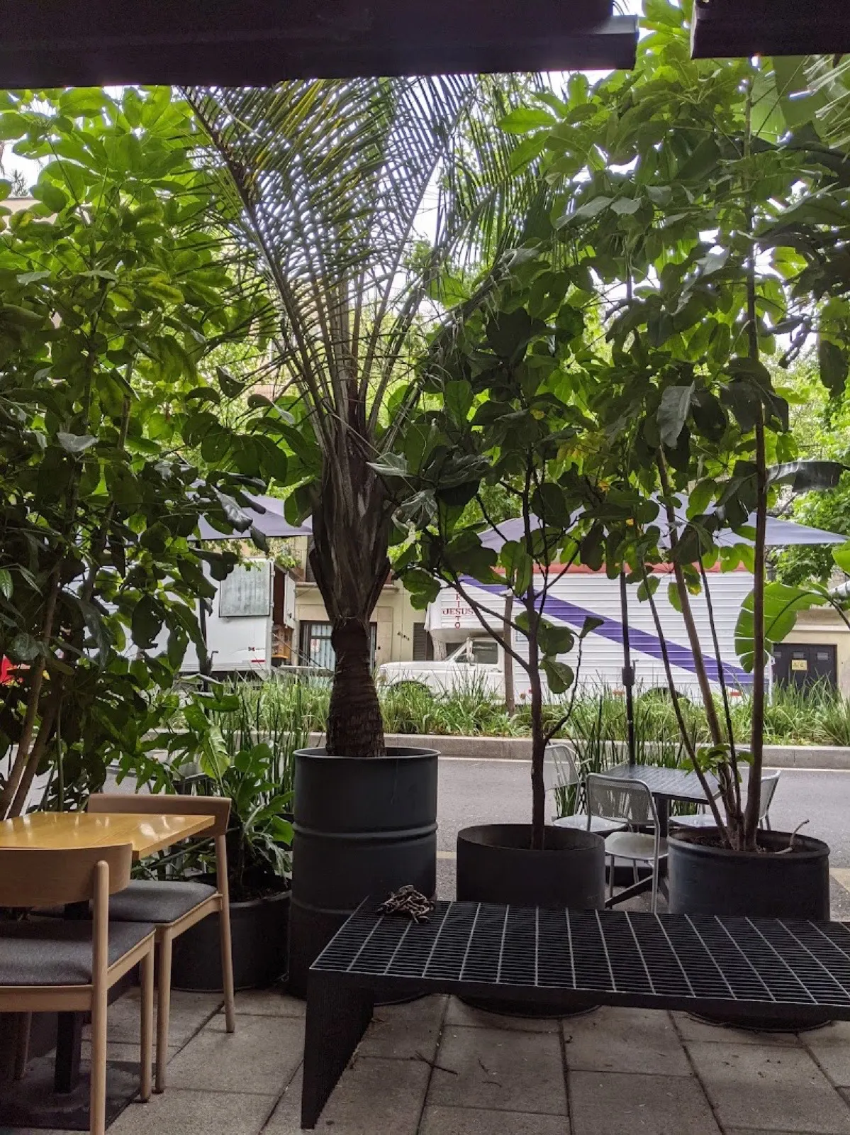 Buna Cafe Rico in Roma Norte — actual venue photo.