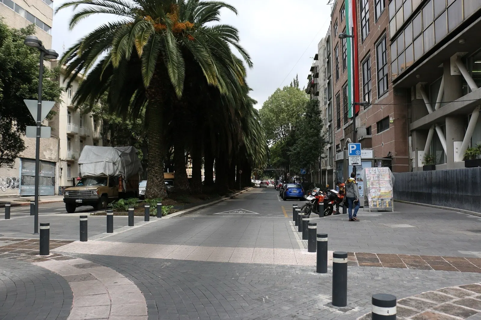 Calle bordeada de palmeras en Roma Norte, Ciudad de México, con autos estacionados, peatones y edificios residenciales.