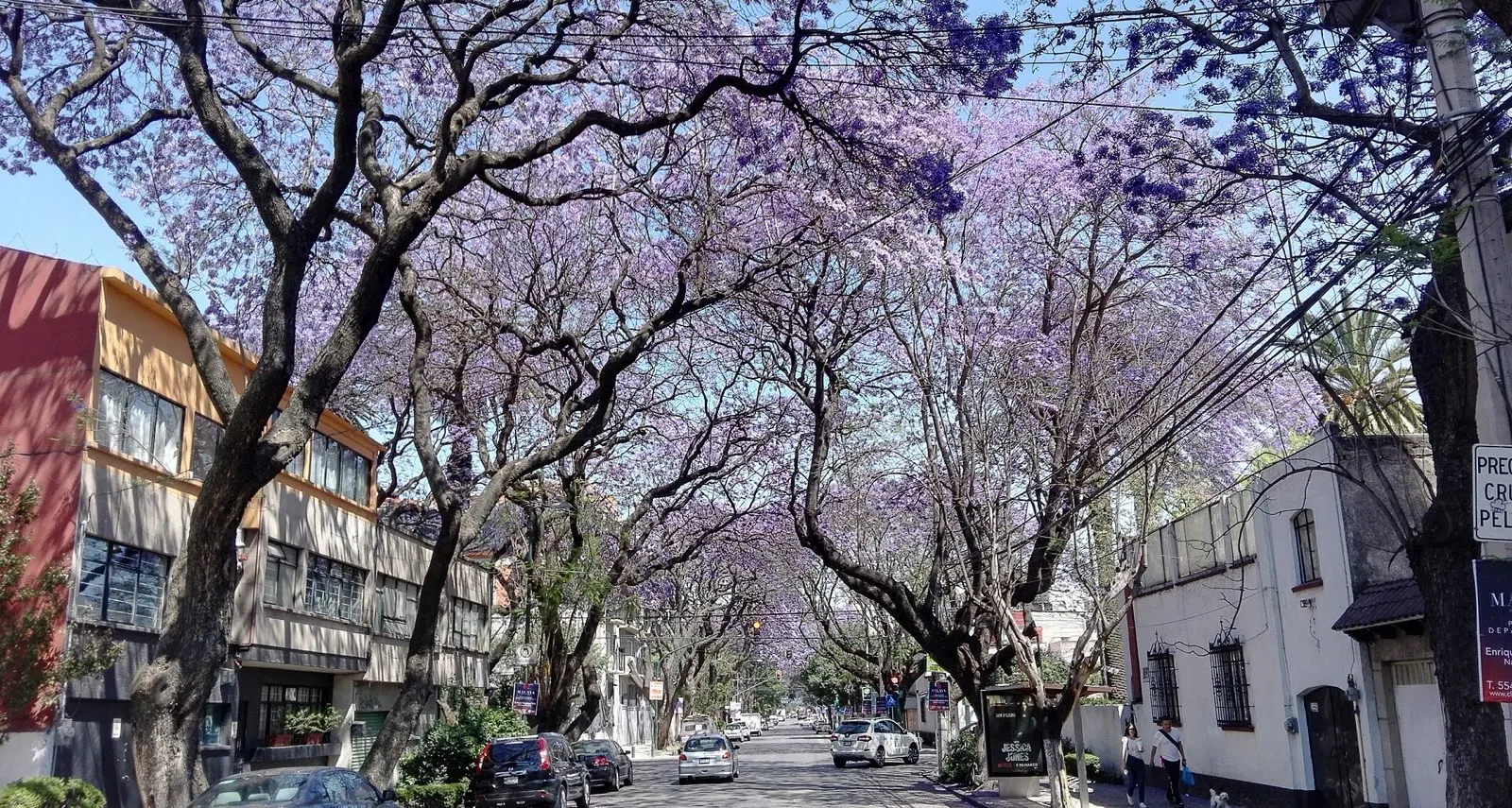 Narvarte in Mexico City — real neighborhood photo.