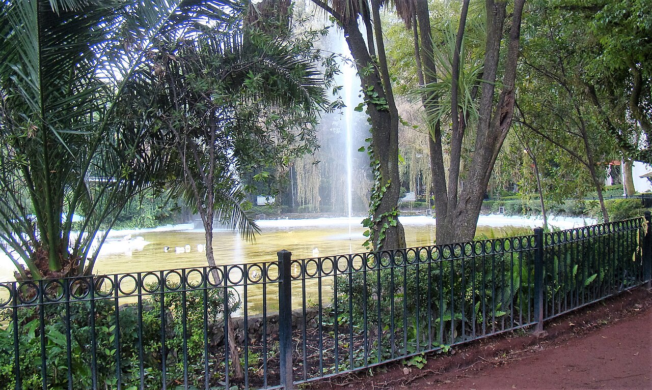 Roma & Condesa on foot: a Sunday walk that still fits a remote work week